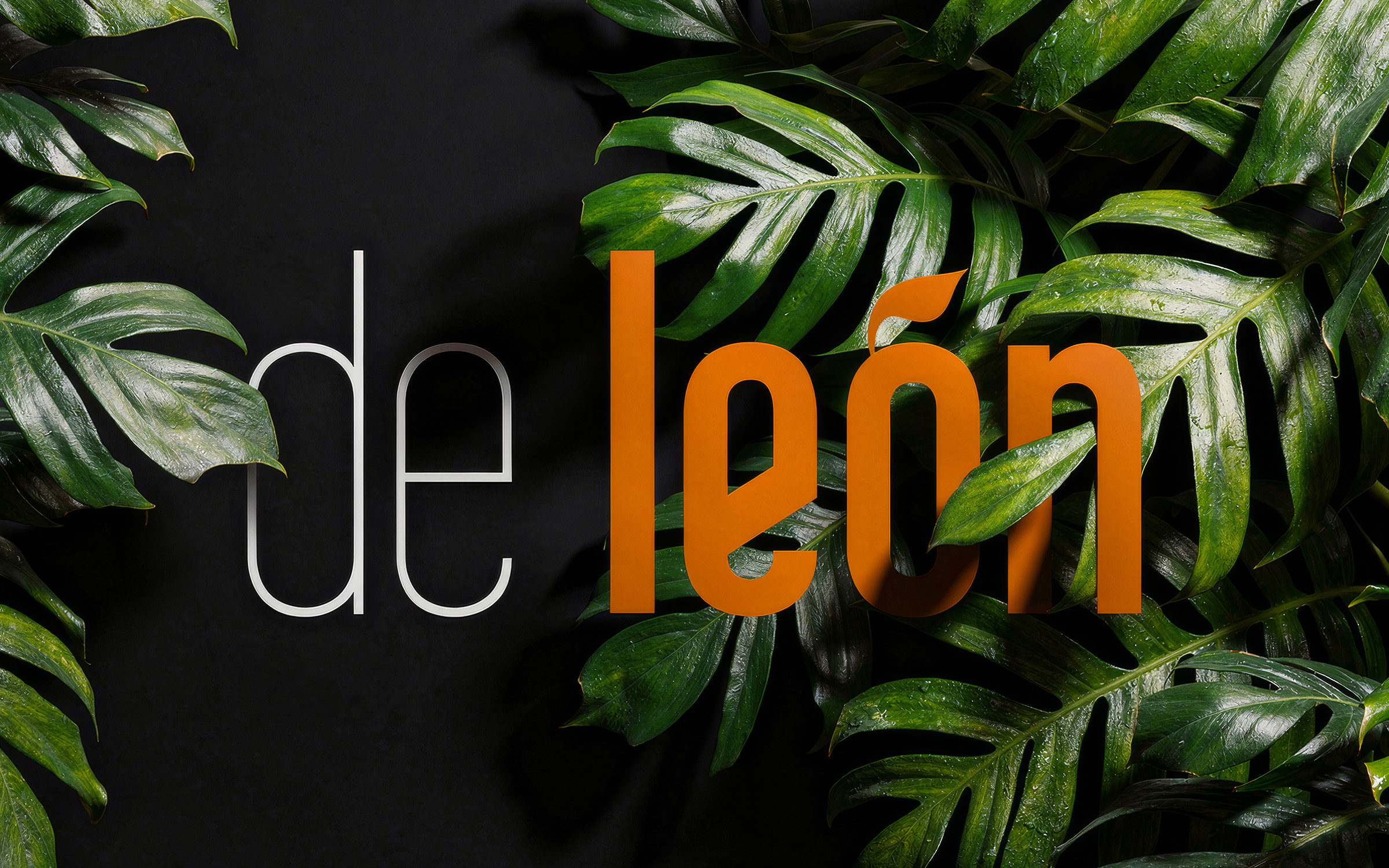 De León Barbershop logo and brand identity