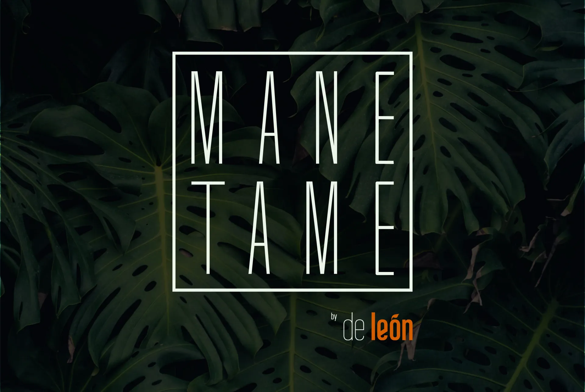 Mane Tame wordmark letterspaced inside a thin outlined box with de León beneath it, set over dark Monstera leaves