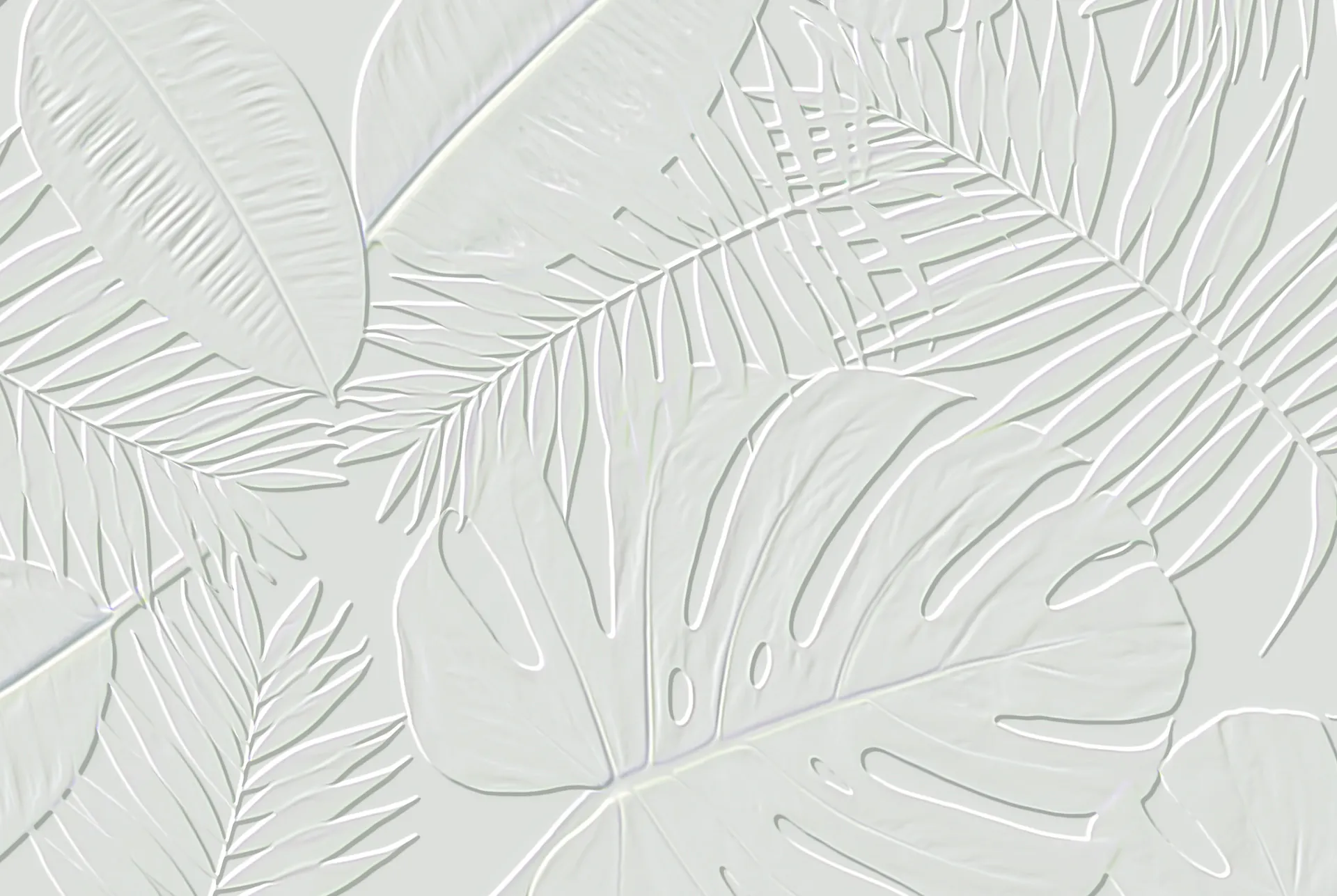 Close up of the De León leaf embossed into packaging board