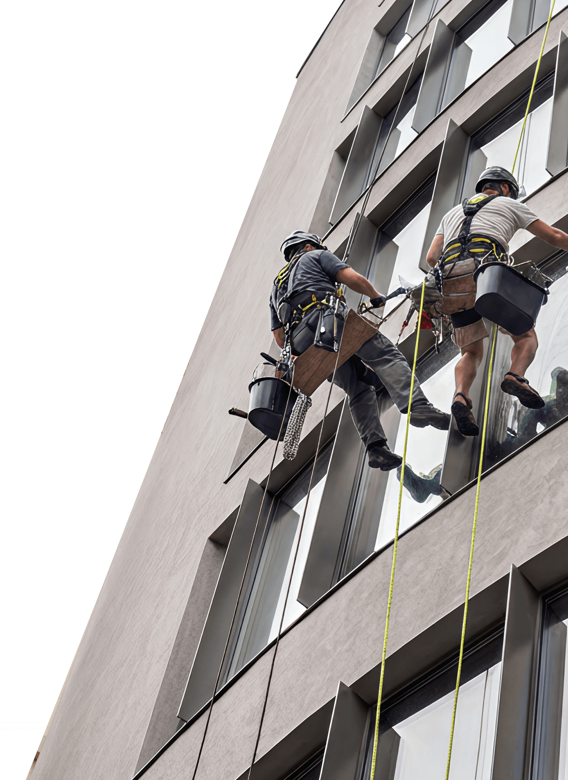 Two window cleaners wearing helmets and harnesses suspended on ropes cleaning the exterior windows of a modern building.