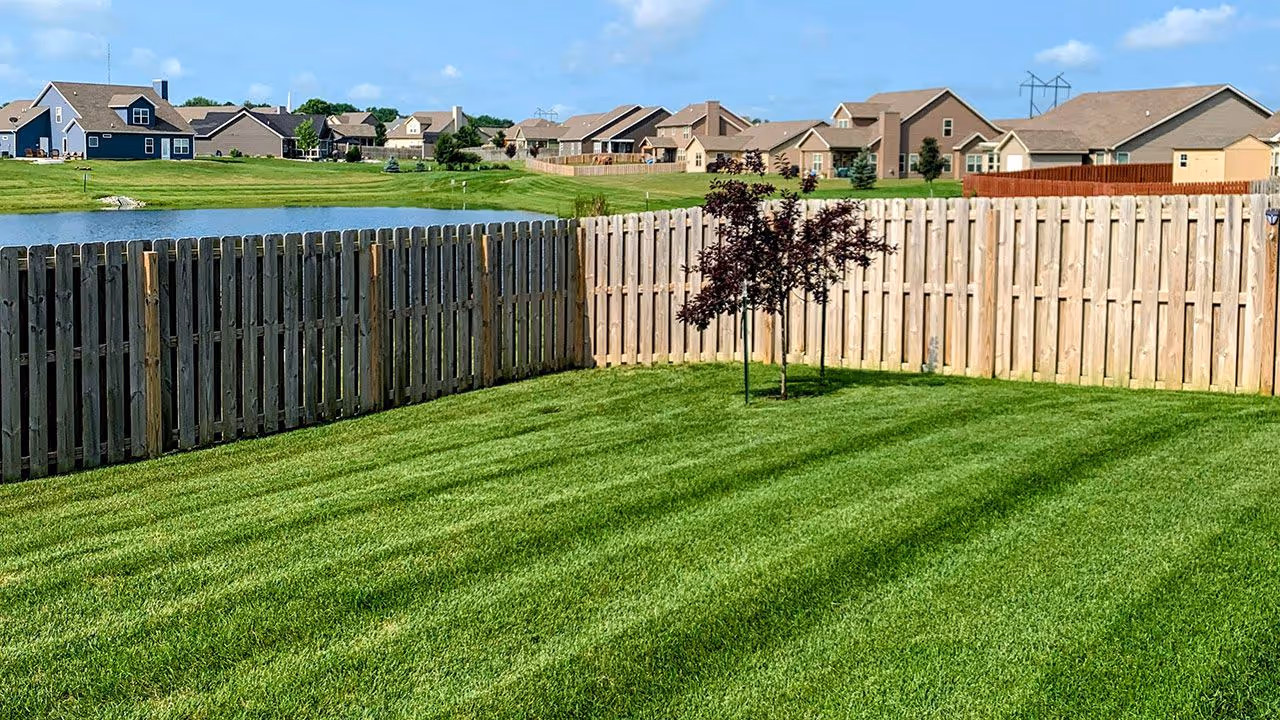 Lawn care maintenance keeping grass healthy and weed-free