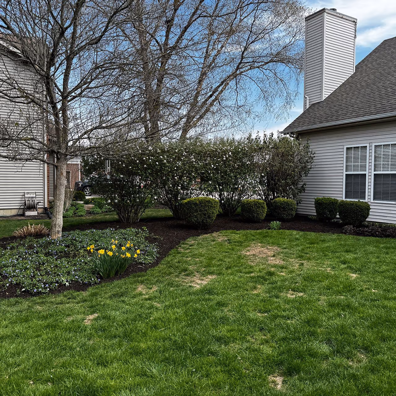 Front yard landscaping with clean bed edges near me 