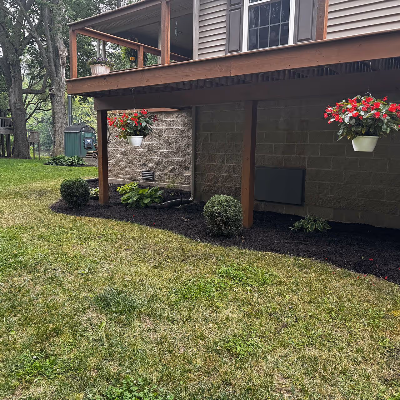 Professional landscape maintenance service for healthy plant growth