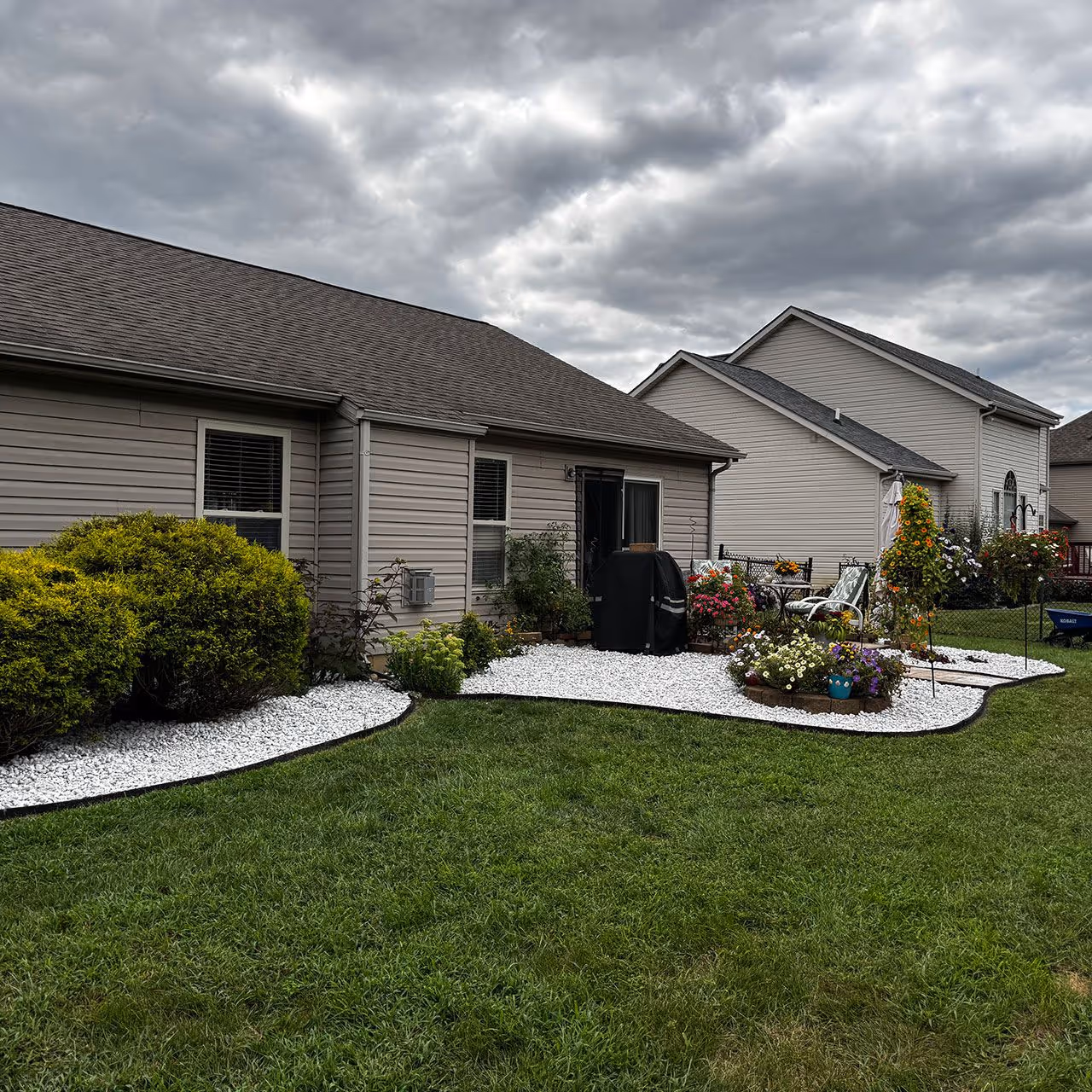 Professional landscape maintenance service for healthy plant growth