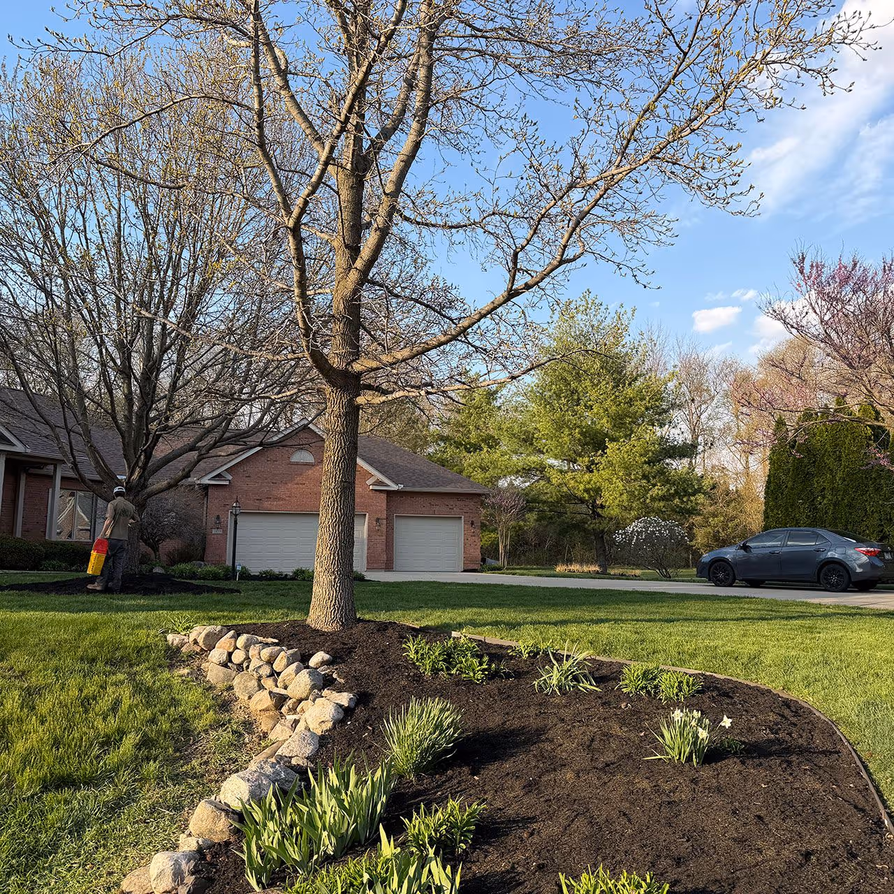 Clean and modern landscape design with defined garden beds