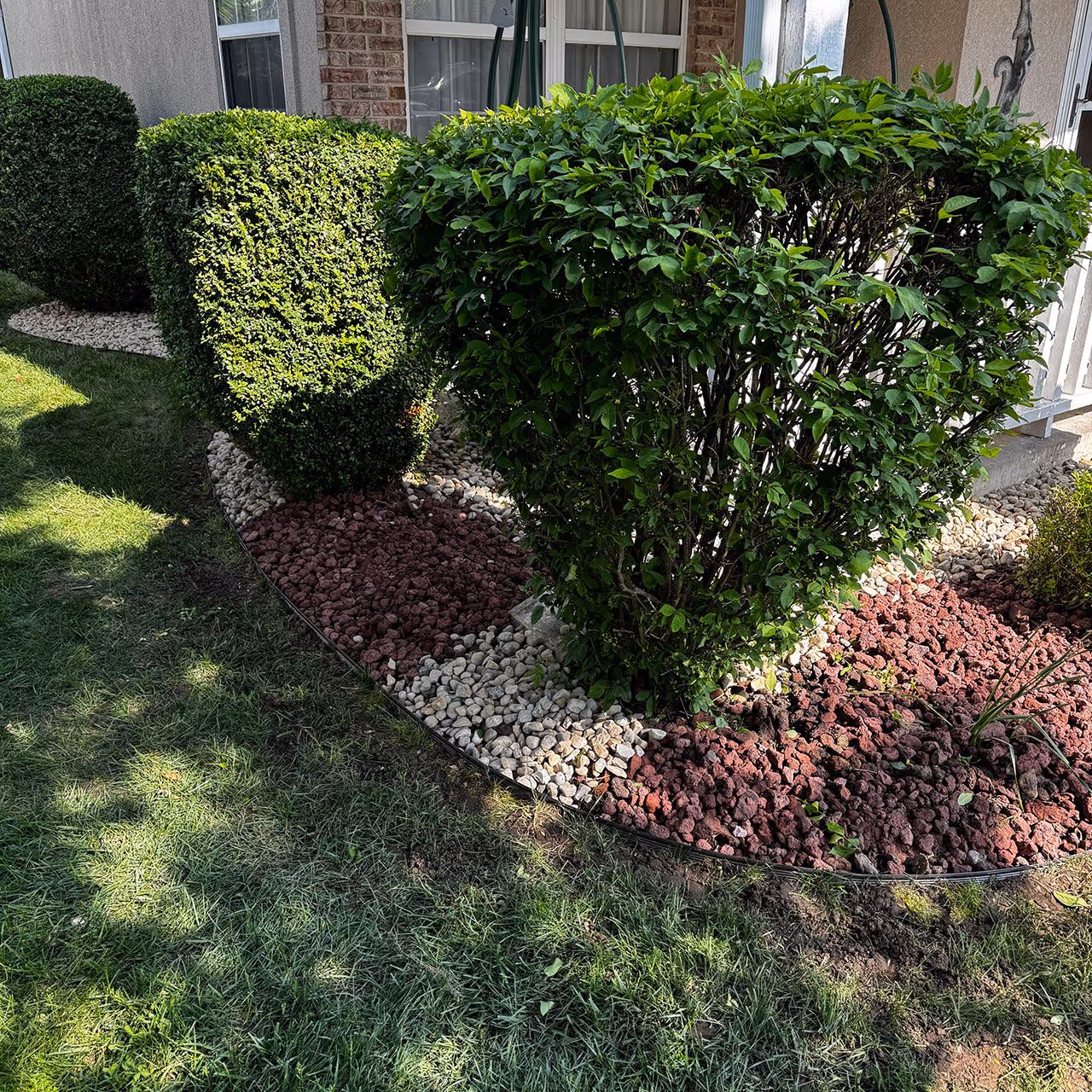 Front yard landscaping with clean bed edges and shrubs