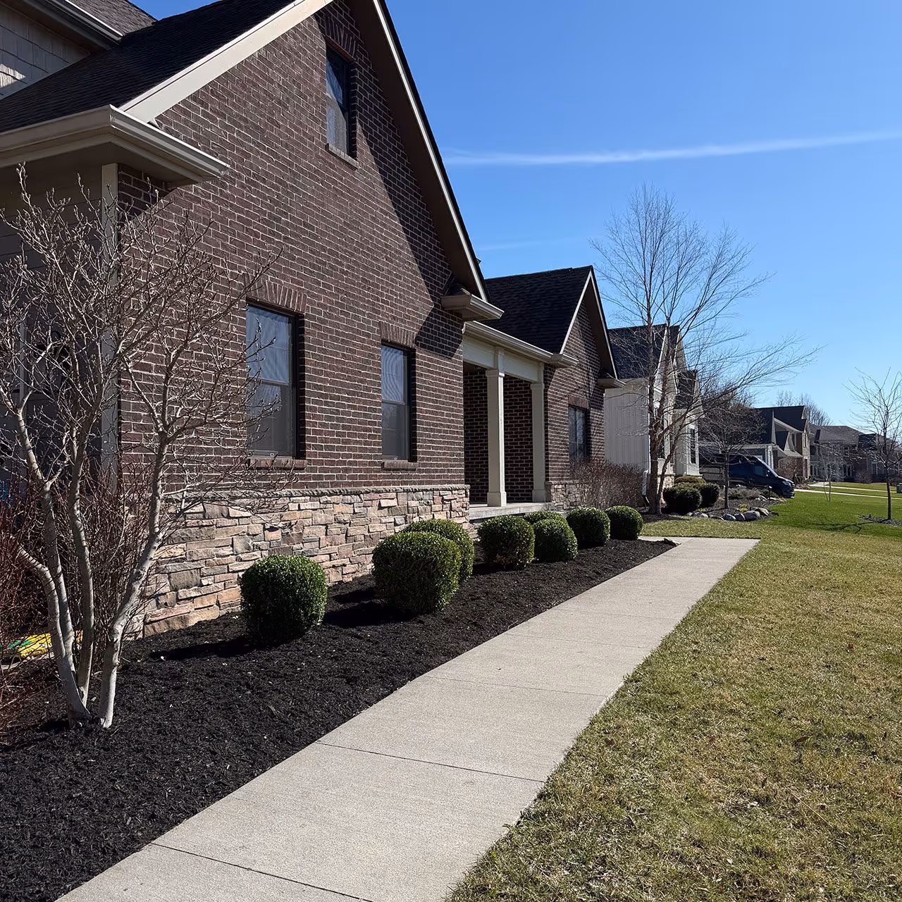 Spring yard cleanup removing debris and preparing lawn for growth