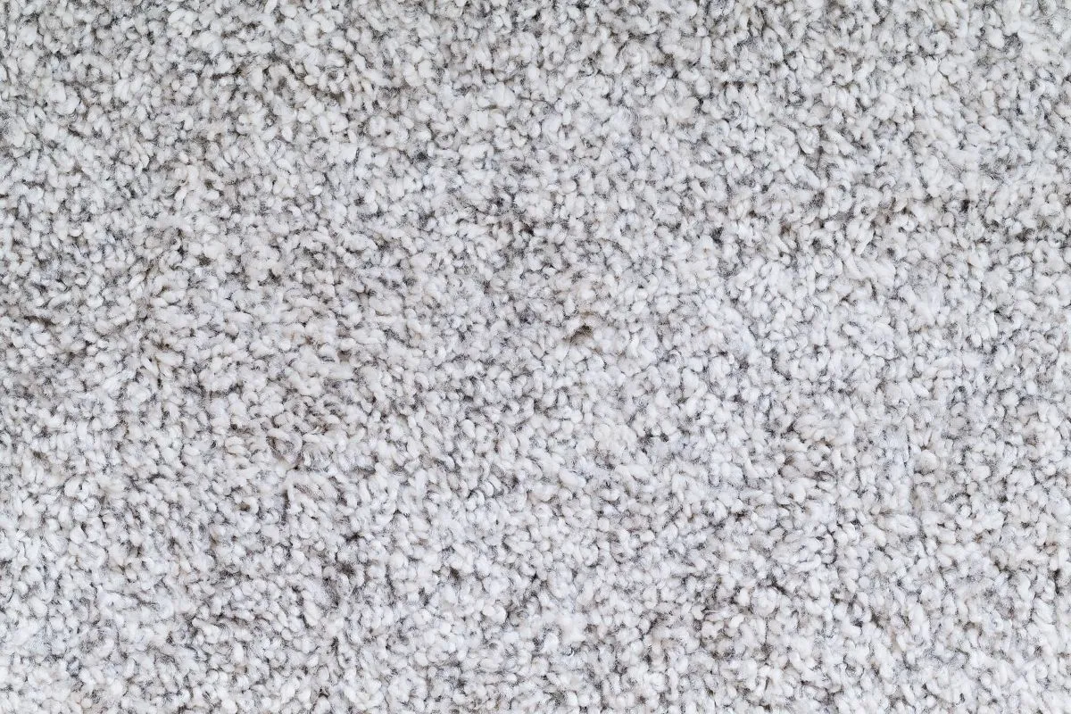 clean light colored carpet