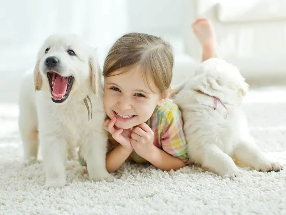 Child and dog on a clean carpet