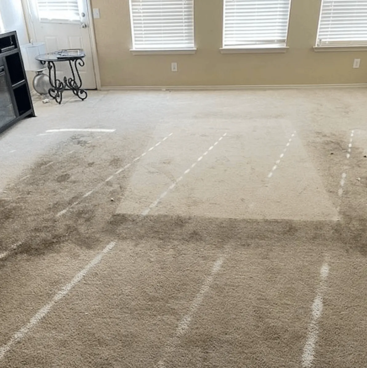Before carpet cleaning service