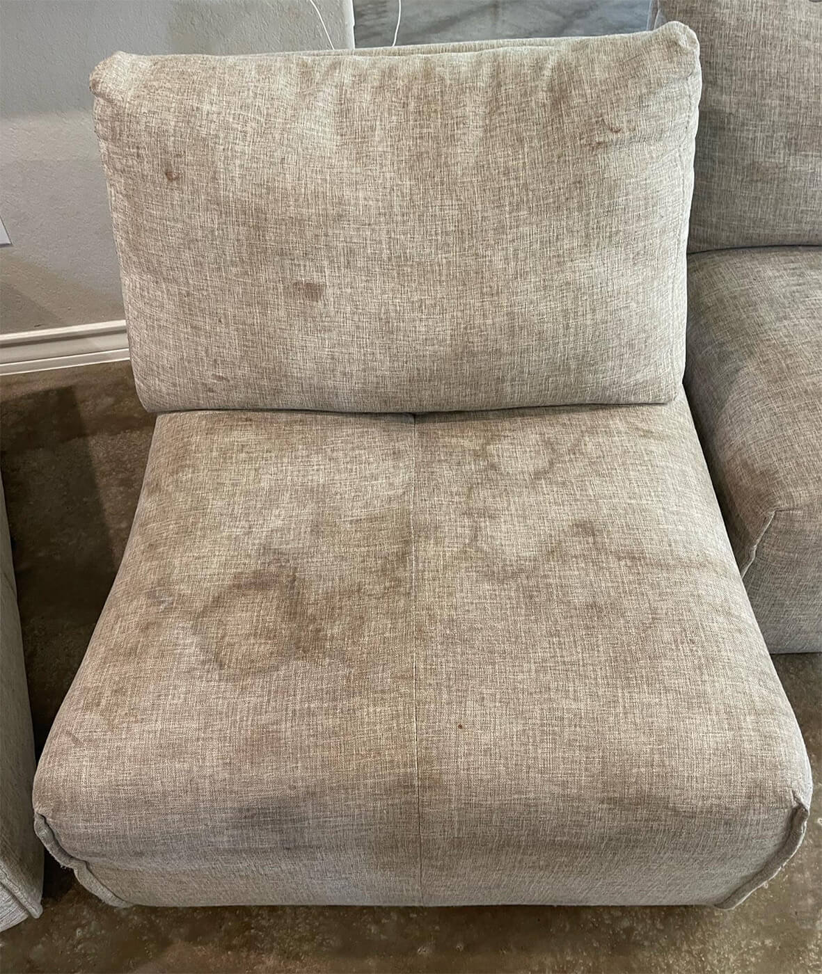 Before upholstery cleaning service