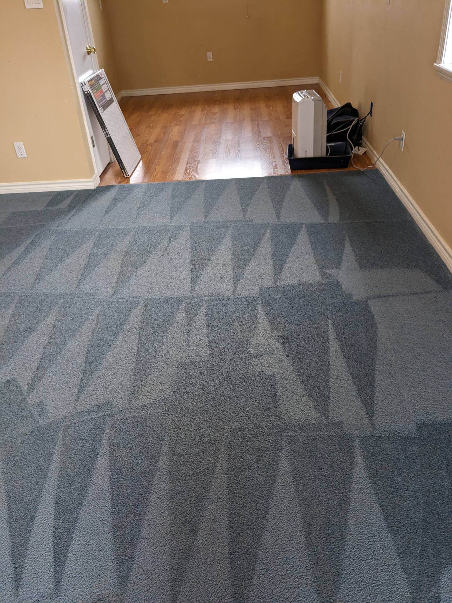 residential commercial carpet cleaning after