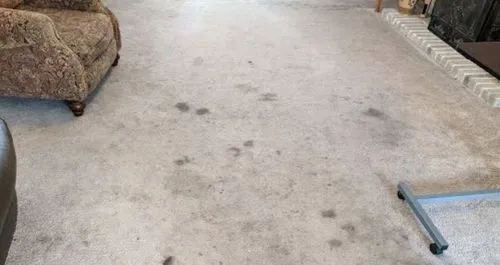 residential carpet cleaning