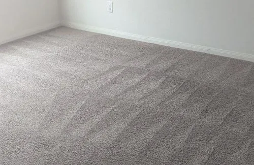 residential carpet cleaning