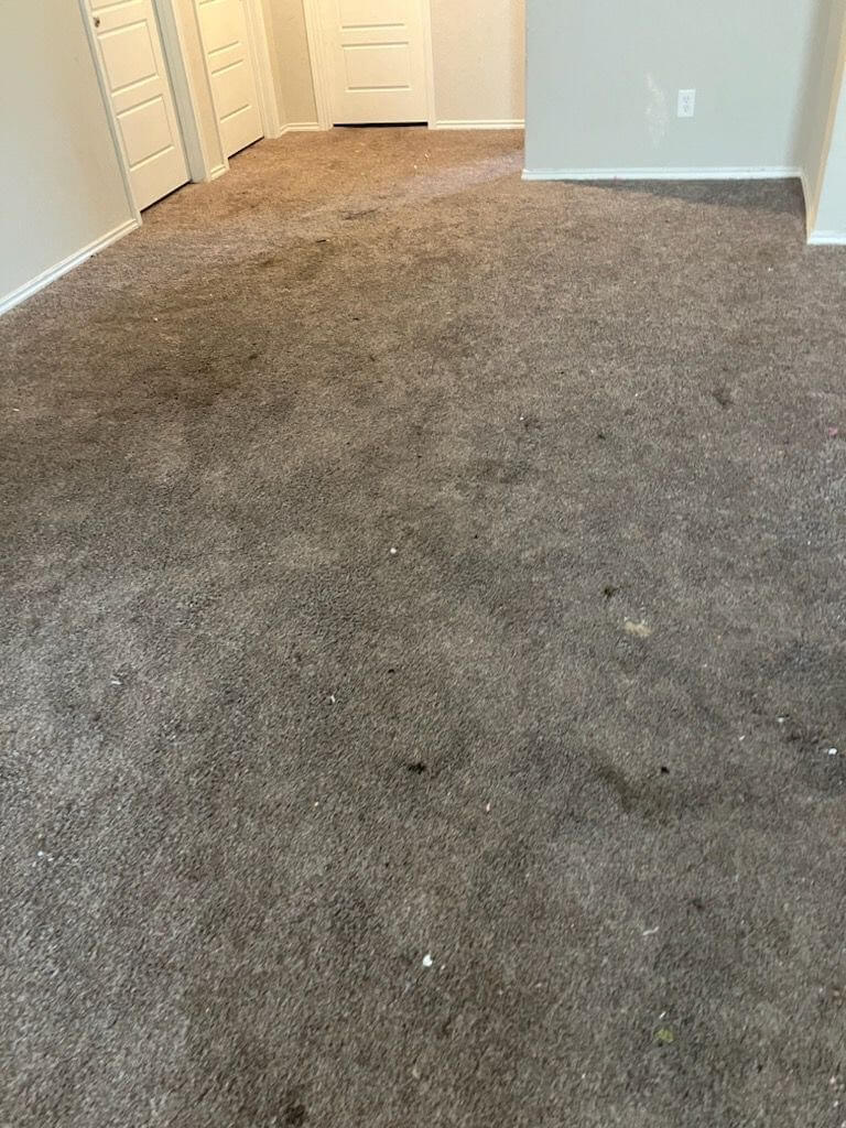 residential carpet cleaning