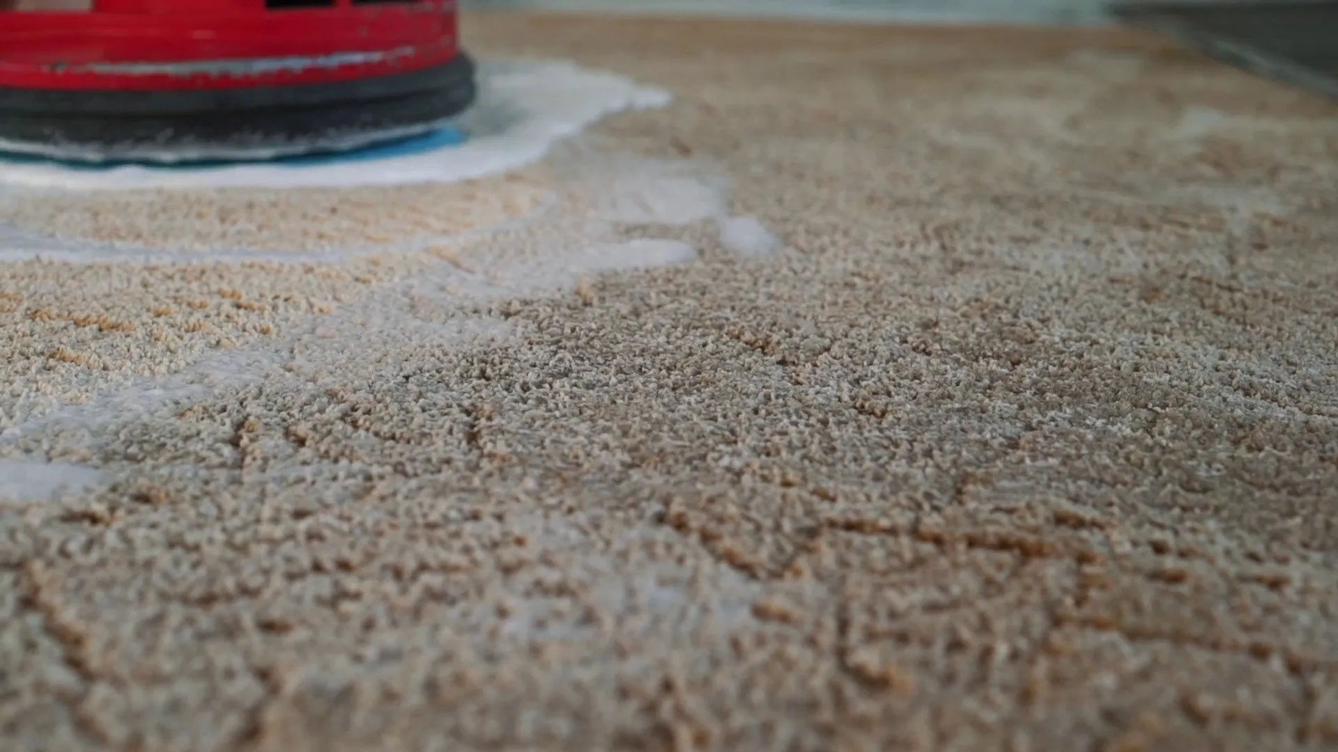 Professional Carpet Cleaning