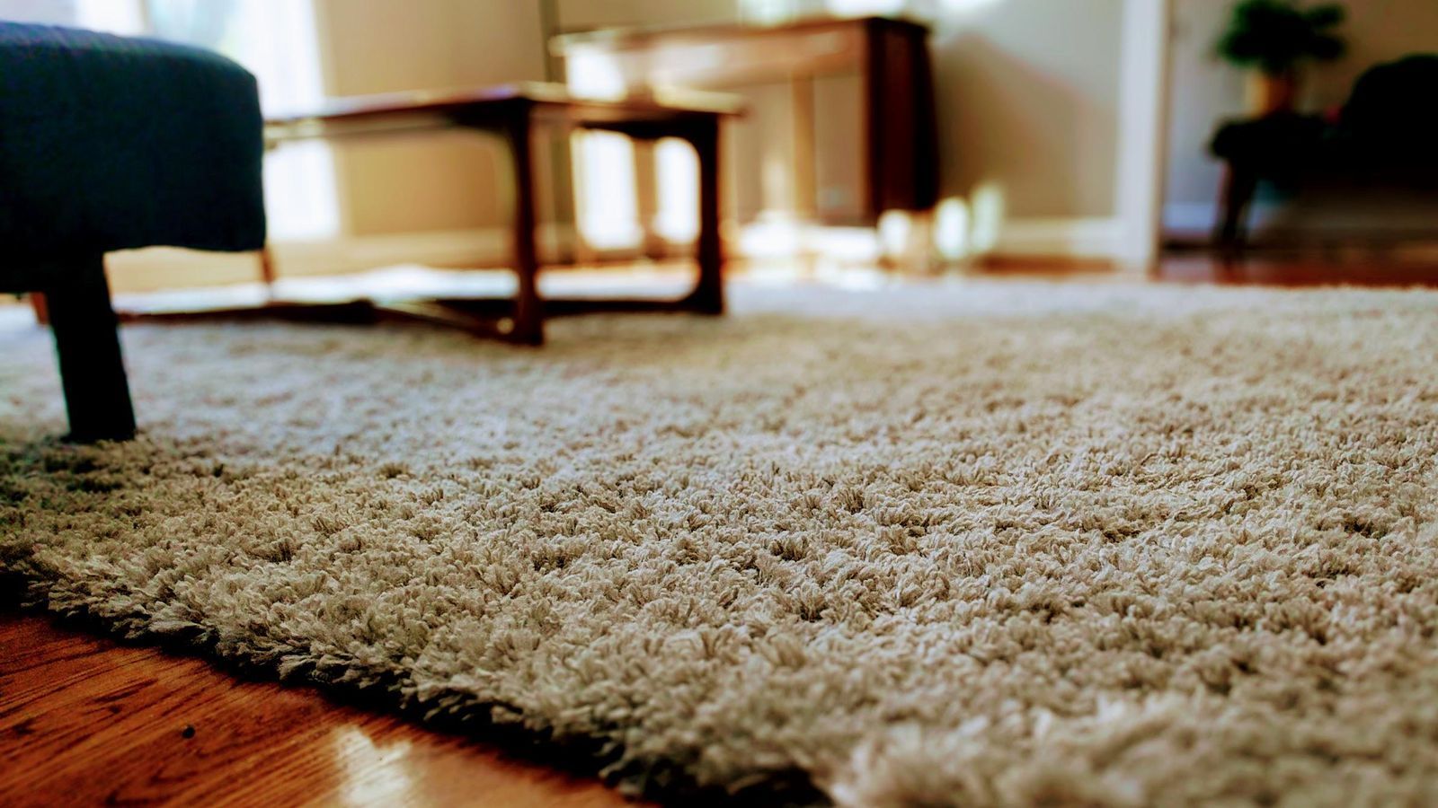 Carpet Cleaning