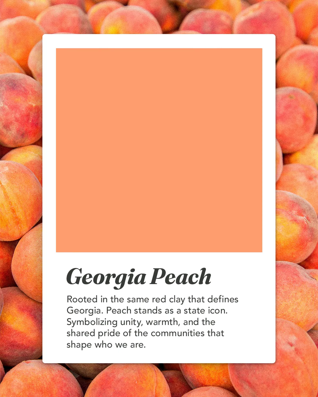 Georgia Peach brand color card: Rooted in the same red clay that defines Georgia, peach stands as a state icon, symbolizing unity, warmth, and the shared pride of the communities that shape who we are.