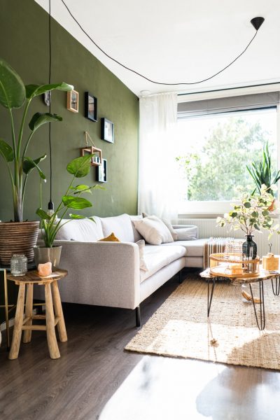 Colour Trends