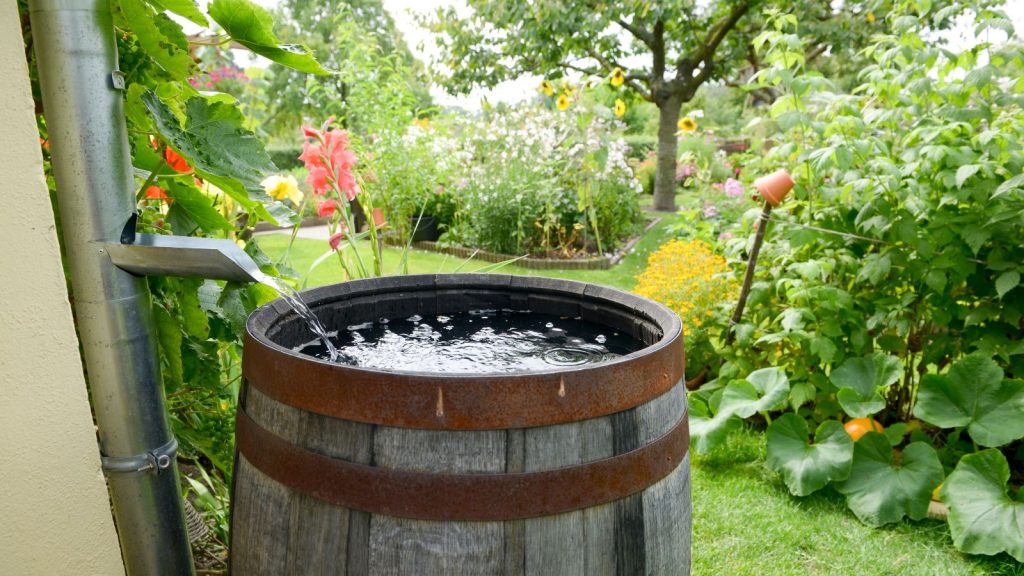 Install a Rain Barrel