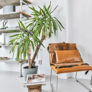 Interior Design Trends 2023