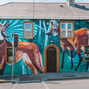 Waterford Walls