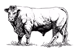 parrillero meat market icon
