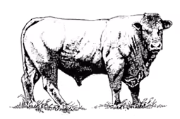 parrillero meat market icon