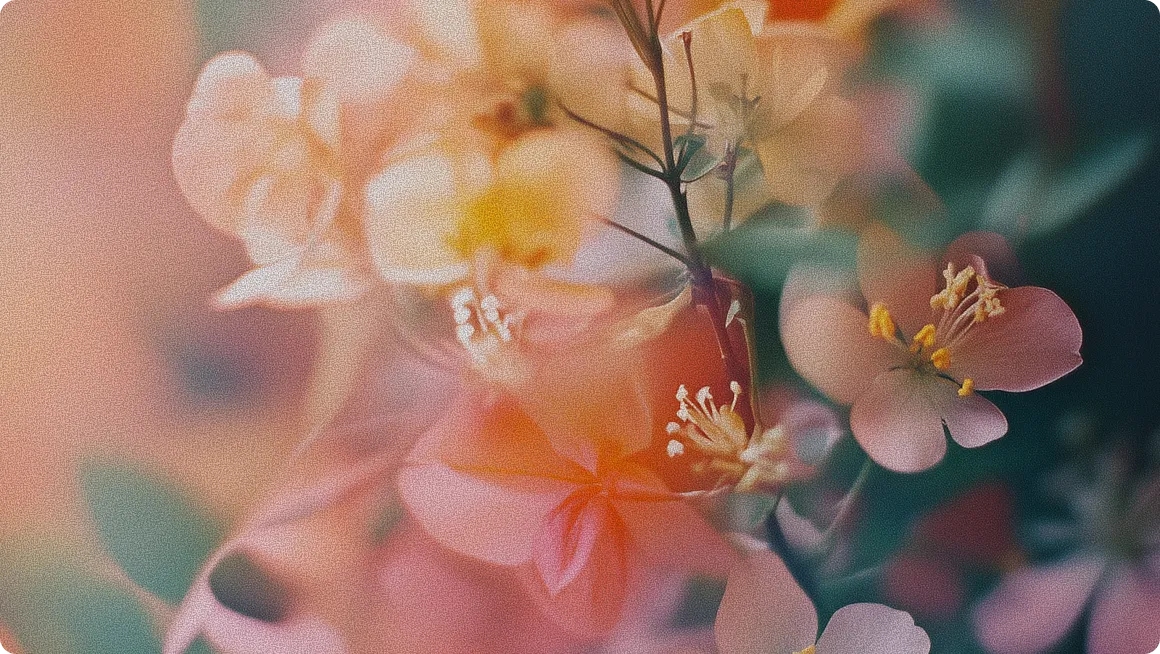 AirSuite - Webflow Template Image