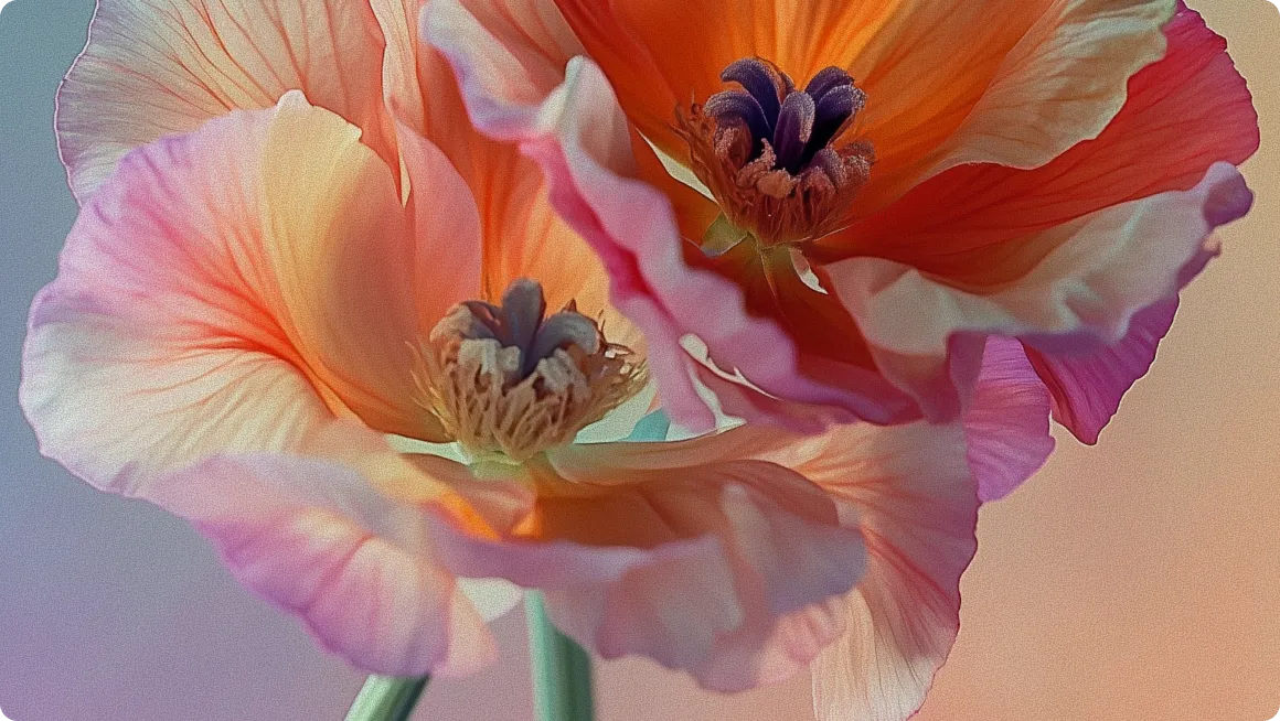 AirSuite - Webflow Template Image