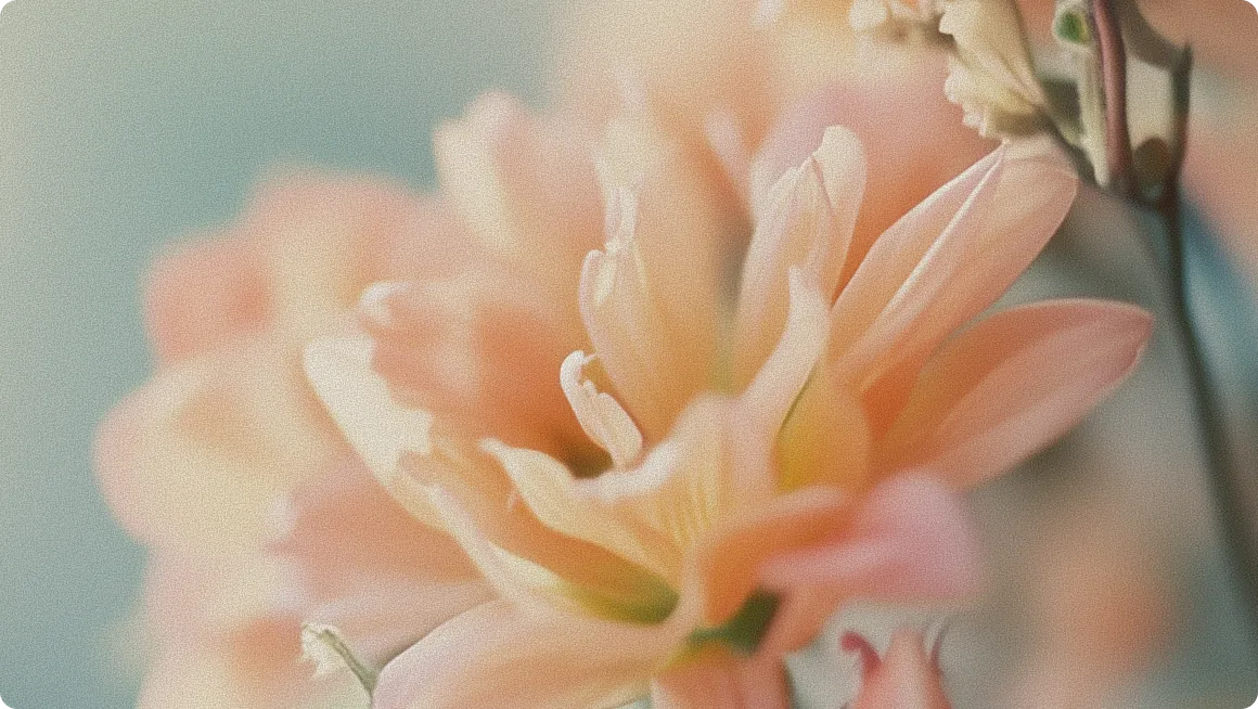 AirSuite - Webflow Template Image