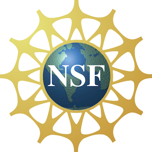 NSF (National Science Foundation) logo with white acronym NSF over a blue and green globe, surrounded by a golden, stylized sunburst design.