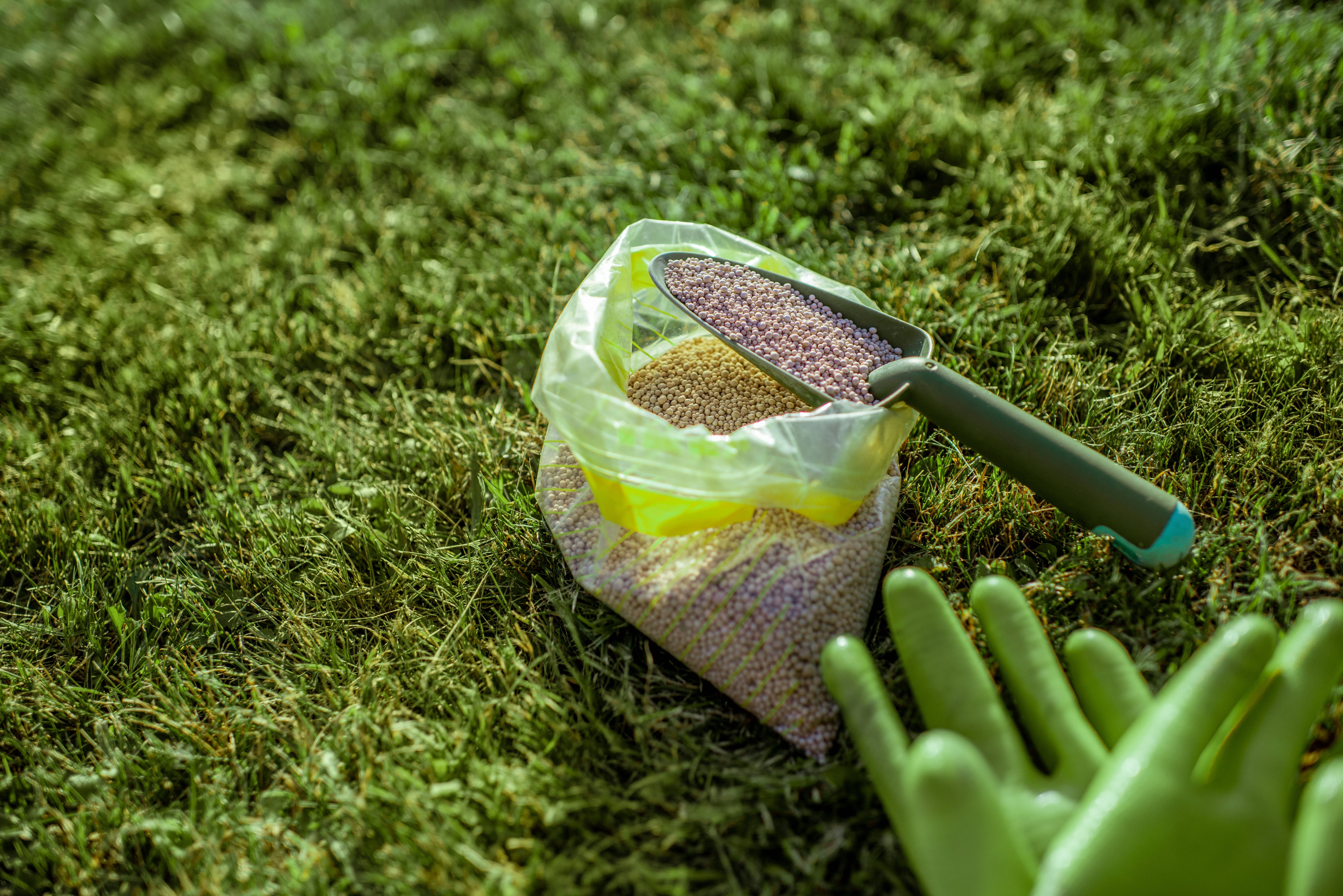 Kelle schöpft körnigen Sand aus einer Verpackung als Vorbereitung zum Rasensanden