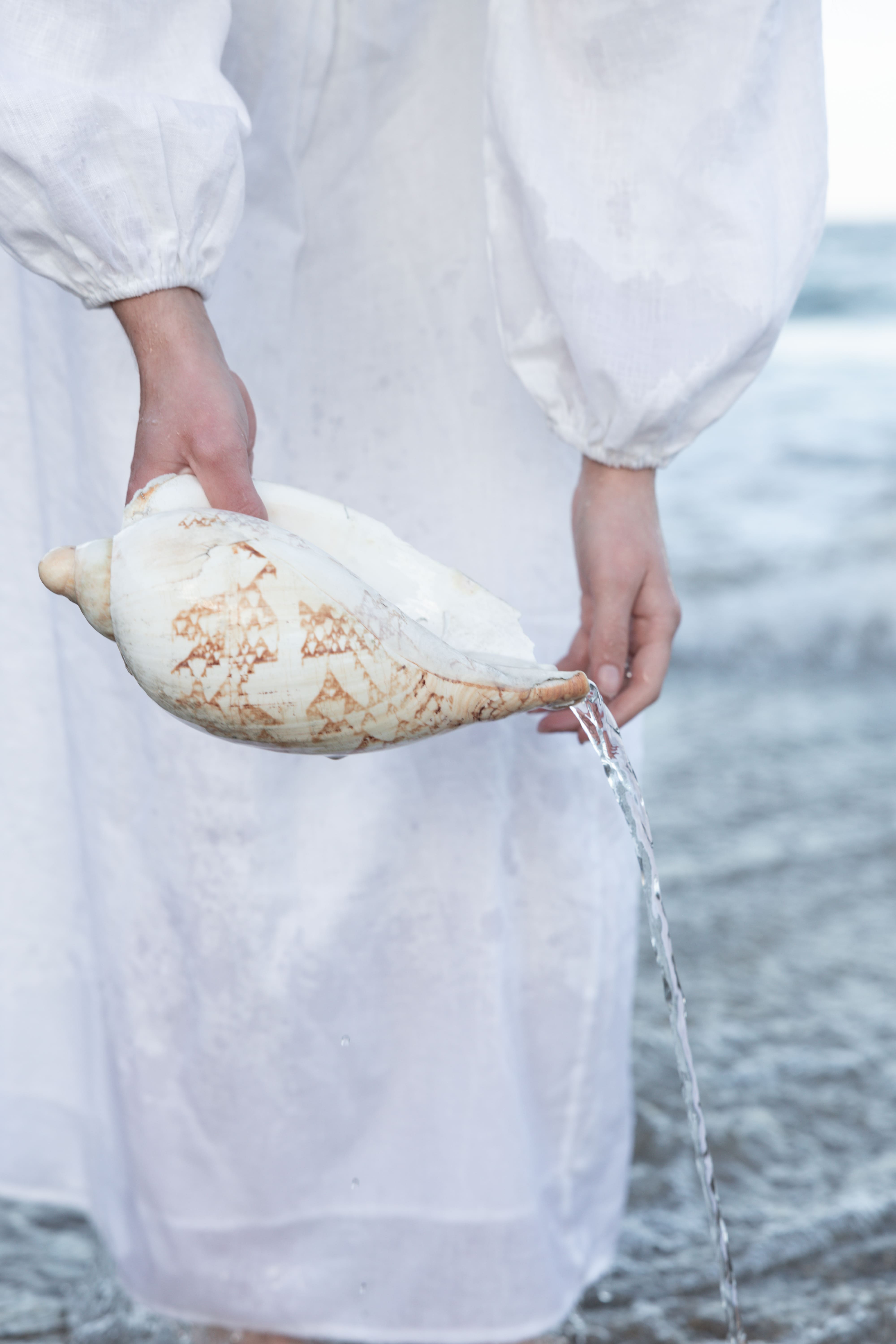 Web Design & Development Insights