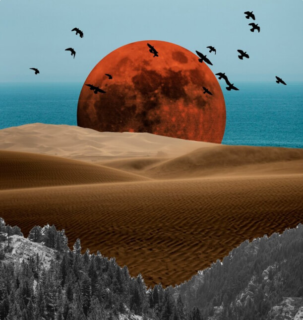 Collection Image
