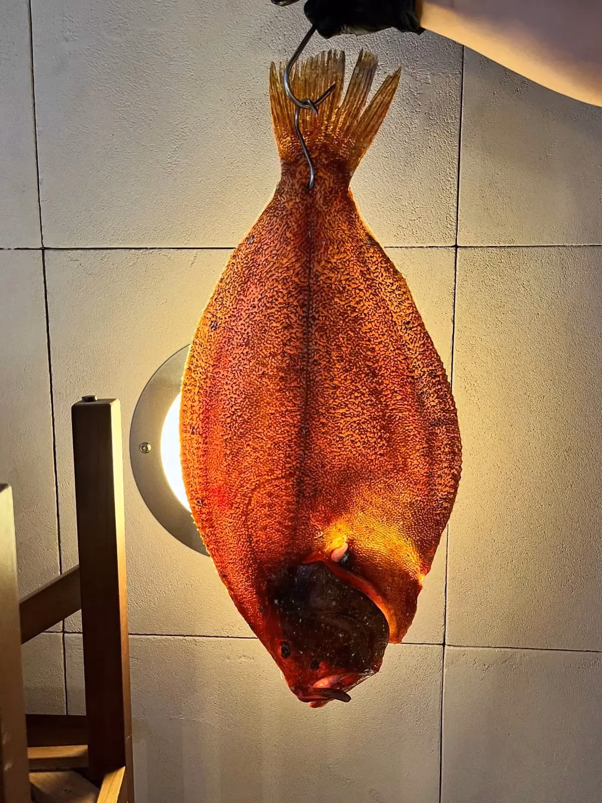 Poisson maturé suspendu
