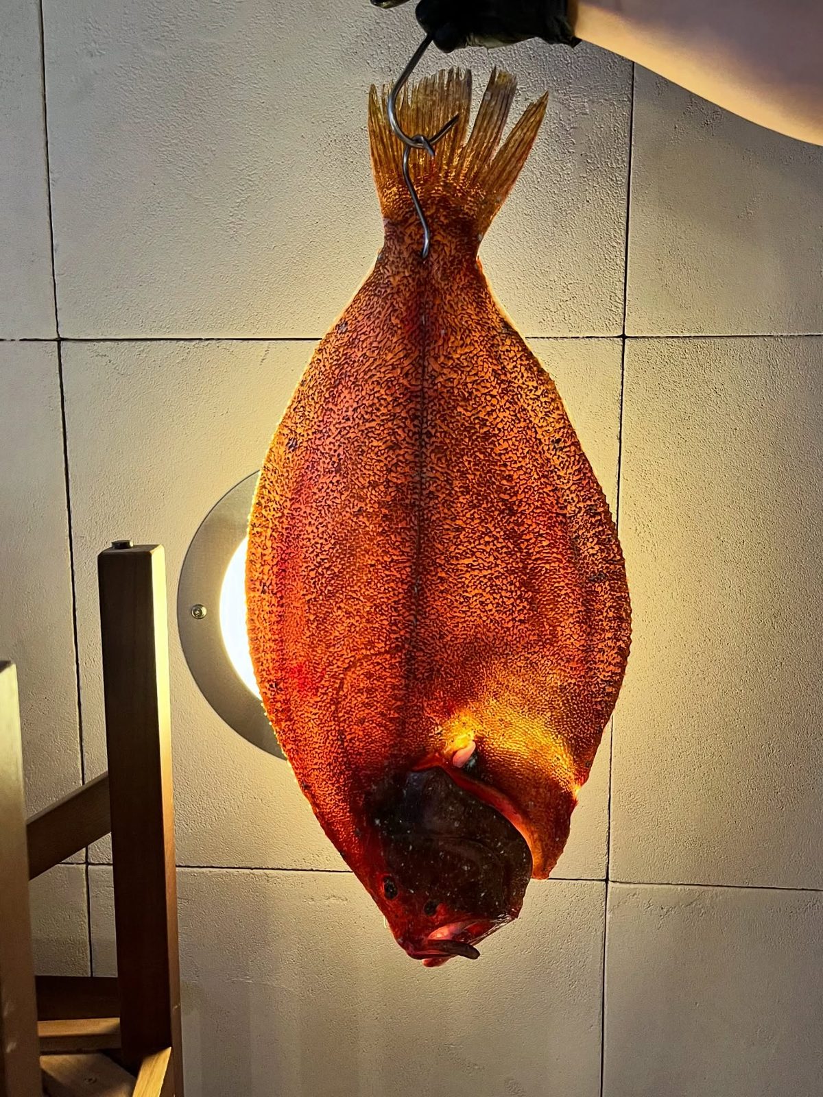 Poisson maturé suspendu