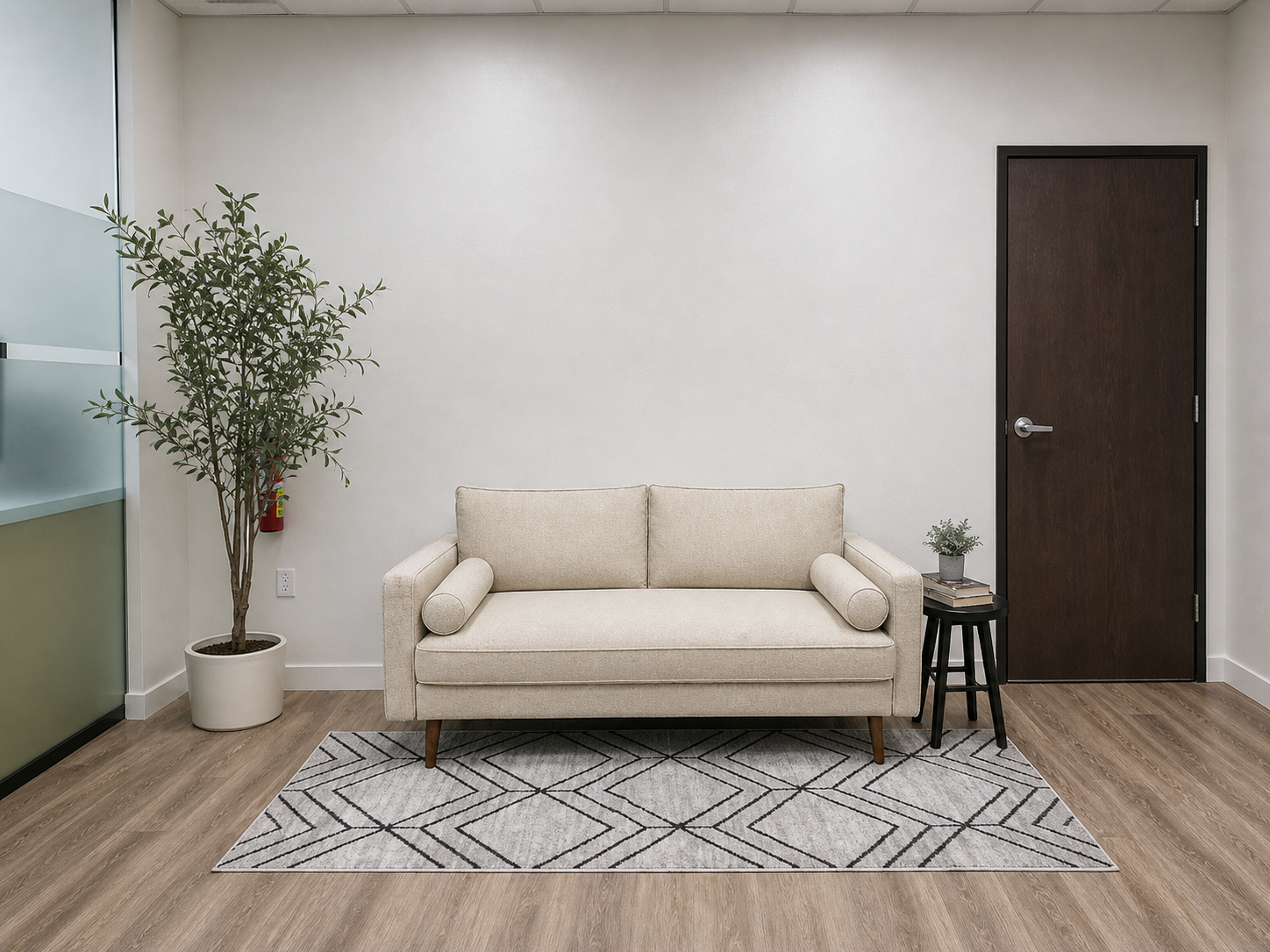 A bright waiting room with a cream colored sofa, potted plant, side table with books, patterned area rug, and dark wooden door against neutral walls.