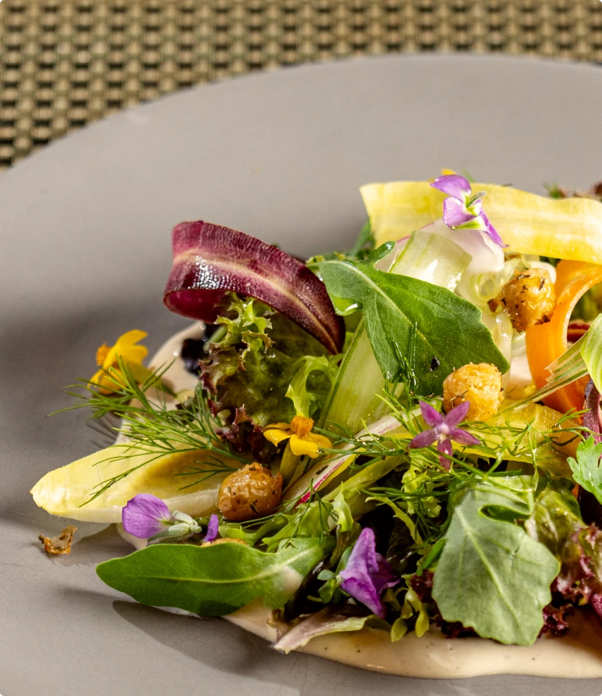 Baby Lettuces & Shaved Vegetable Salad