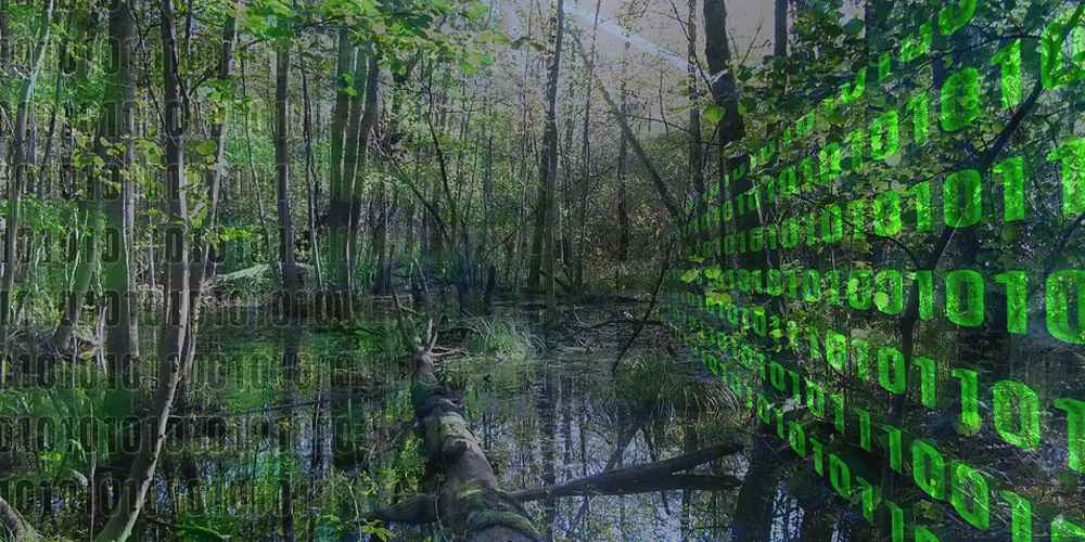 How to build a Data Swamp!