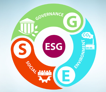 Lessons Learned from an Sustainability ESG Reporting Project