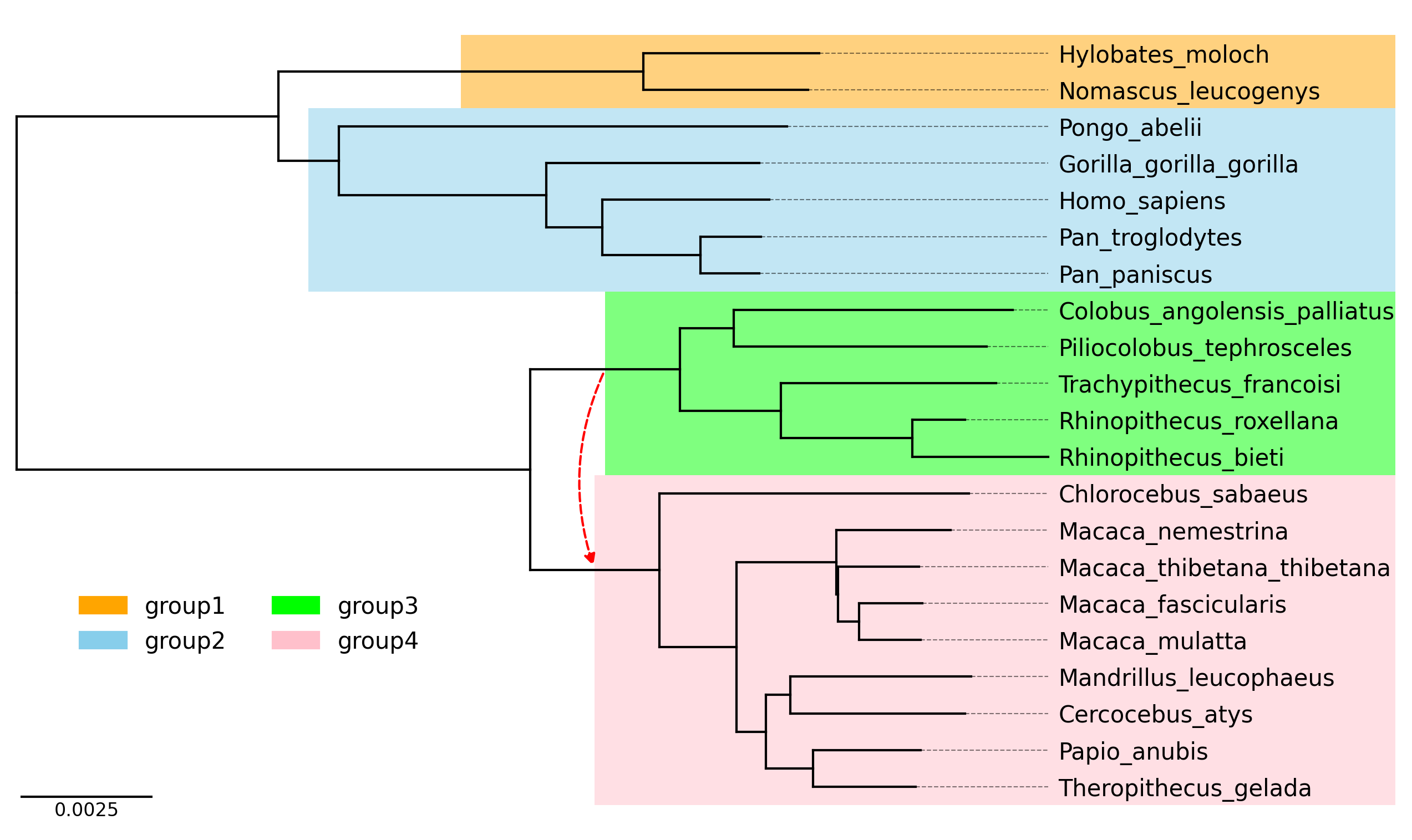 Edge Cases: Handling Ragged and Unbalanced Hierarchies (Part 5 of 6)
