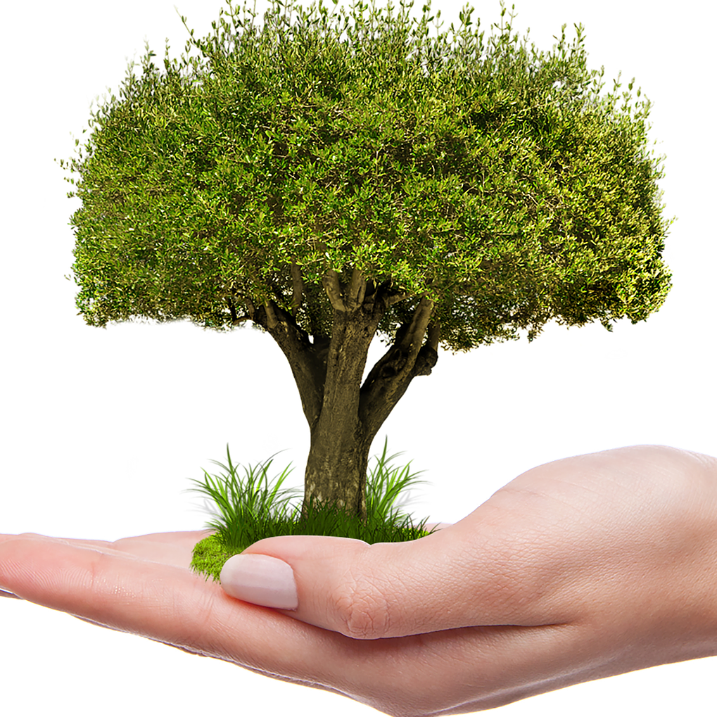 How to grow your business 30% year on year