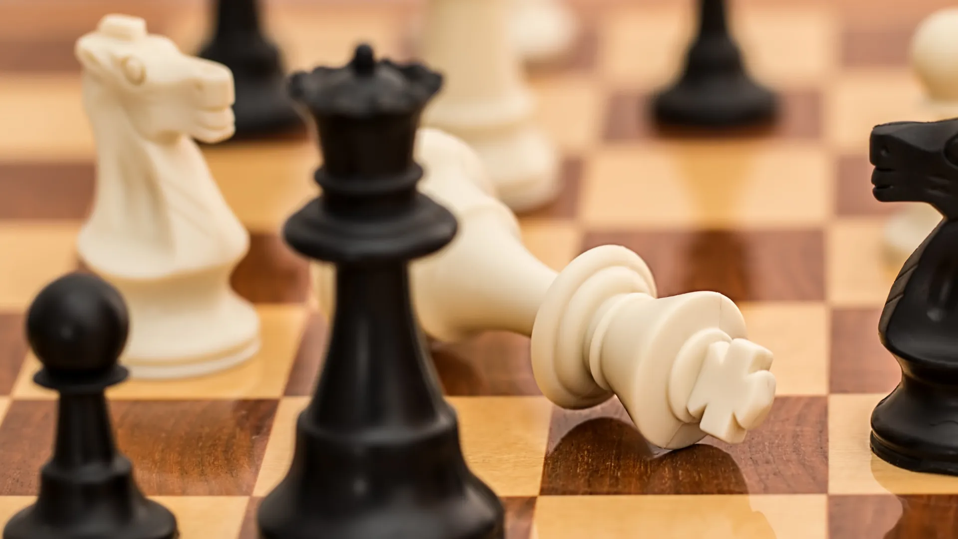 Leadership Insights: Navigating Growth and Organisational Change