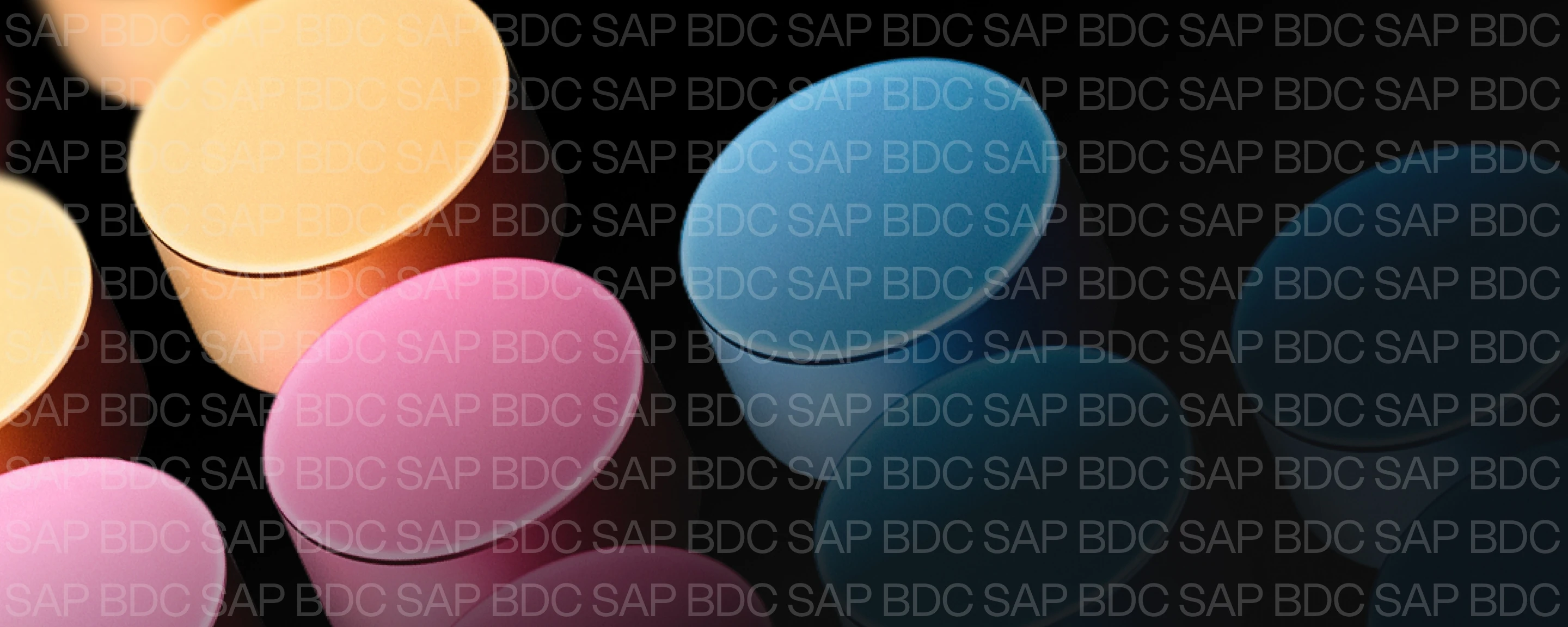 SAP BDC: The 5 Questions Every Leadership Team Should Ask (Part 1 of 5)