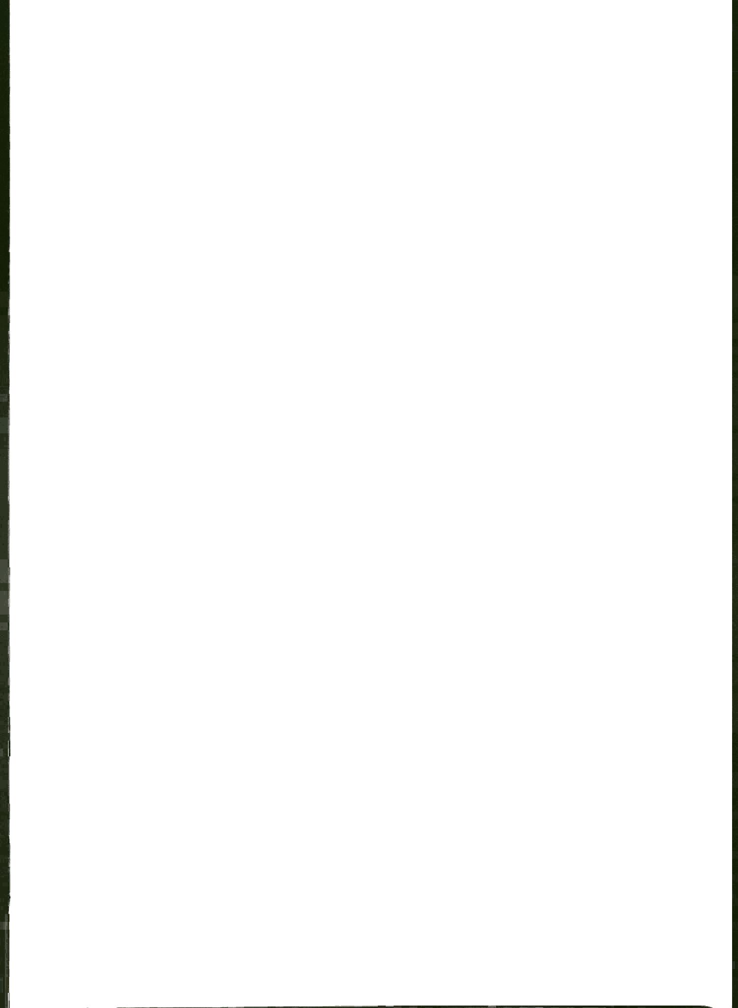 Film Frame