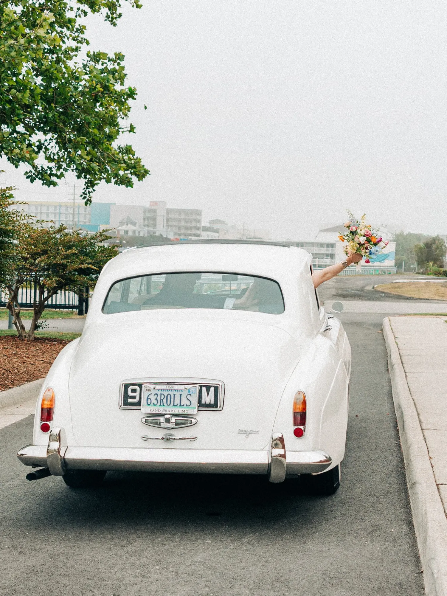 Rear view of a vintage white Rolls-Royce car driving down a street with a person inside extending their arm out the window holding a colorful bouquet of flowers.