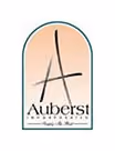 Auburst Inc.