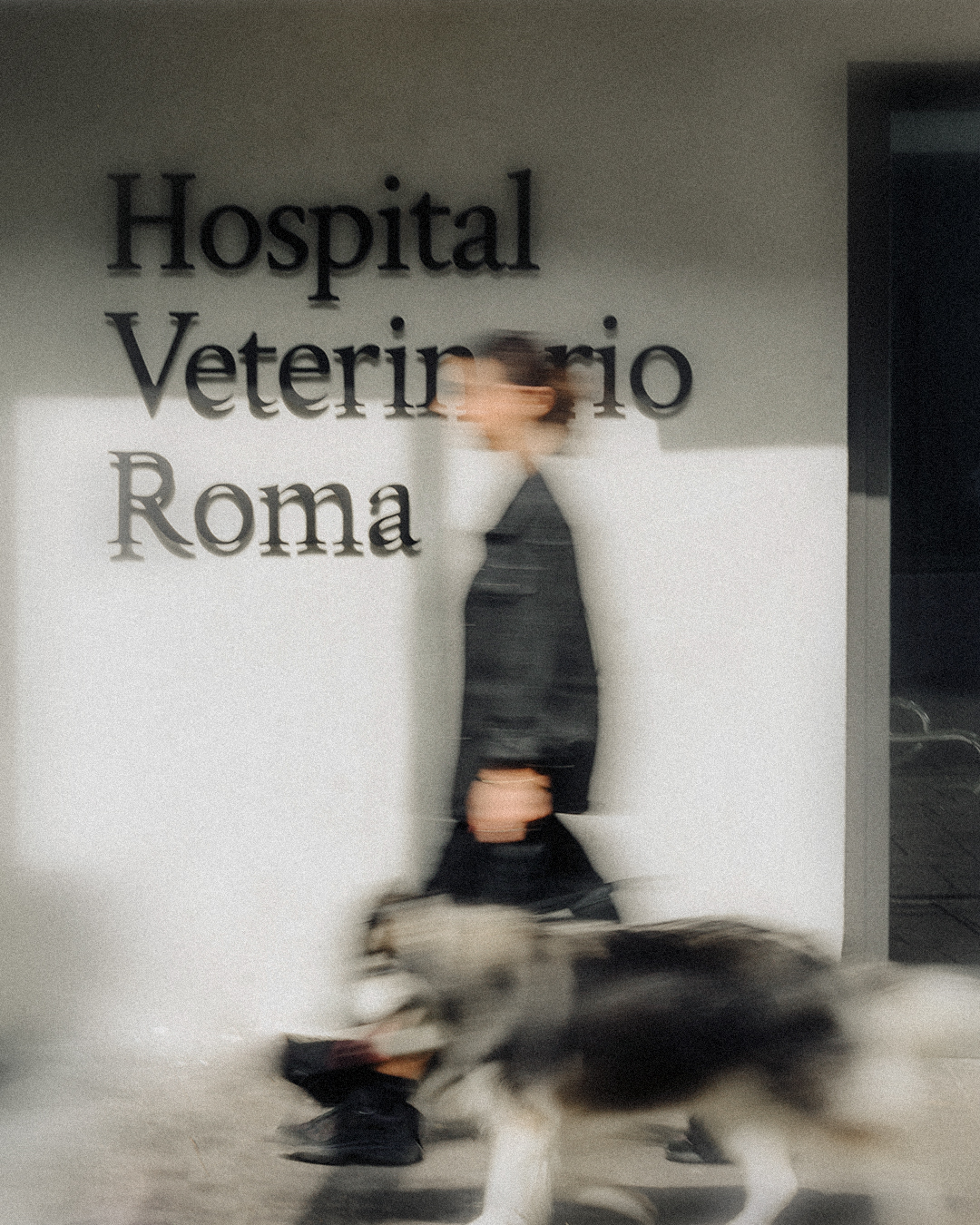Alivet veterinary group brand identity by Hispánica