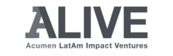 Text logo reading 'ALIVE Amherst Lesbian Impact Ventures' in bold uppercase and smaller font.